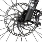 2024_JEALOUS_HYBRID_10-0_detail_03_800x800.jpg