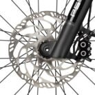 2024_JEALOUS_HYBRID_9-0_detail_04_800x800.jpg