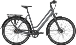Gazelle Chamonix S11 Low-Step