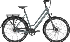 Gazelle Chamonix S8 Low-Step