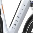 Gazelle-G3605-20160758-Ultimate-T10-Low-Step-13_800x800.jpg
