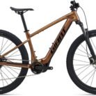 Giant-5090000304W-20164769-Talon-E-Gen2_800x800.jpg