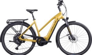 Hercules Futura I-10 625 Lady Gold