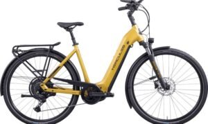 Hercules Futura I-10 625 Wave Gold