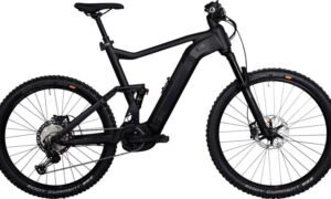 Kettler QUADRIGA DUO CX12 FS 1250W-Akku