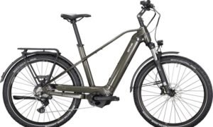 Kettler Quadriga Town & Country CX10 LG 750