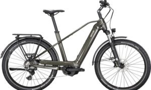 Kettler Quadriga Town & Country CX10 LG 625W-Akku Diamant