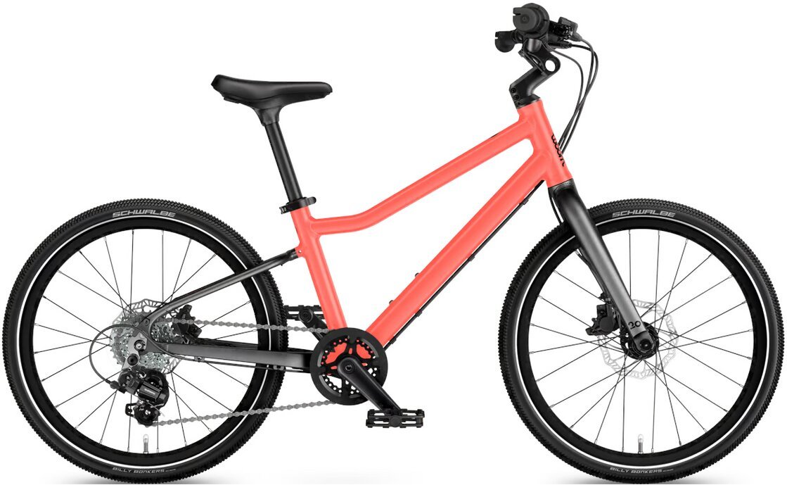 Orange-1.jpg Orange-1.jpg
