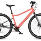 Orange-3.jpg