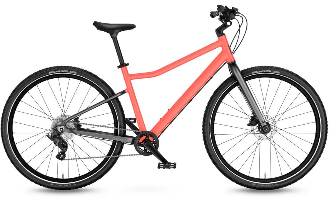 Orange-3.jpg Orange-3.jpg