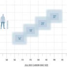 bikesize_jealous_carbon-1.jpg